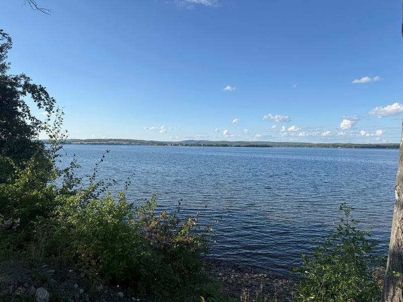 Lake views & yard photo 2