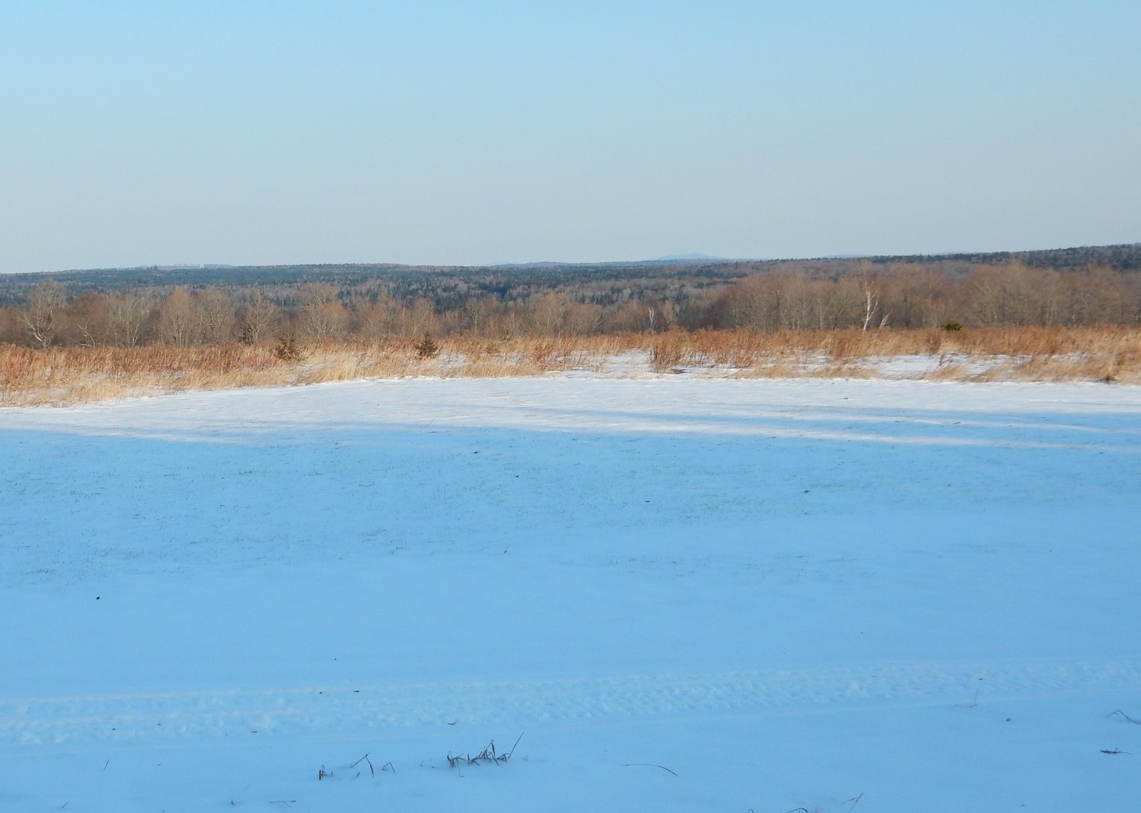 Snowy field and woods in northern Maine in winter